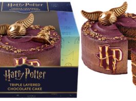 Finsbury conjures up Harry Potter cake Finsbury Food Group is celebrating the 25th anniversary of the Harry Potter movie franchise with a new Hogwarts-themed chocolate celebration cake.