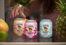 Malibu doubles down on RTDs with new Malibu Punch range Cans of Malibu Punch sit on a bar as a person's hand reaches for them. There is also different pieces of fruit across the bar.