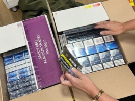 Scottish Illicit Tobacco Team seizes over half a million cigarettes Boxes filled with illicit cigarettes as a person examines the contents inside.