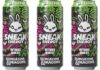 Sneak Energy partners with Dungeons & Dragons on new Beholder variant Pack shots of Sneak Energgy Citrus Quest Dungeons & Dragons cans.